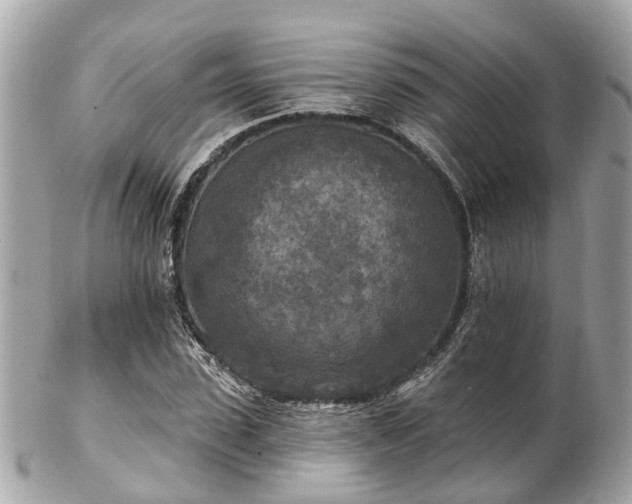 X0000102500923200808151517