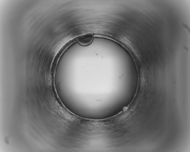 X0000102500924200808151517