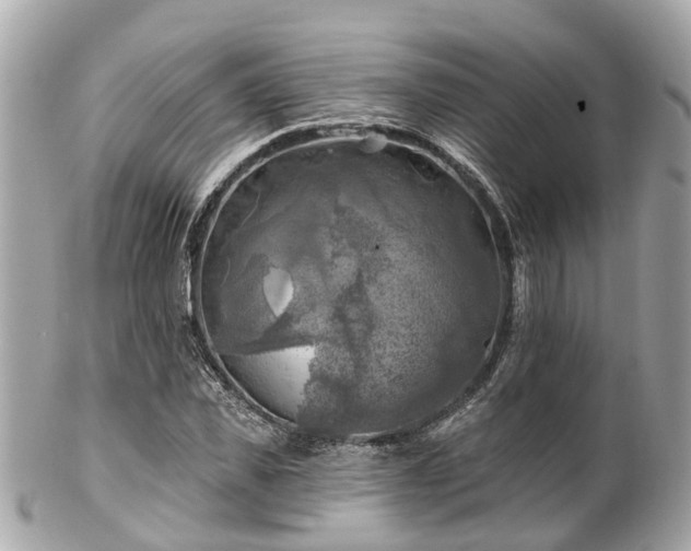 X0000102500925200808151517