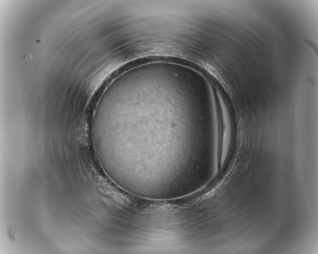 X0000102500926200808151517