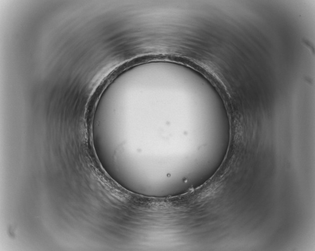 X0000102500927200808151517