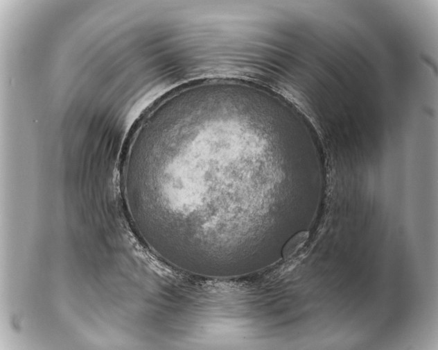 X0000102500928200808151517