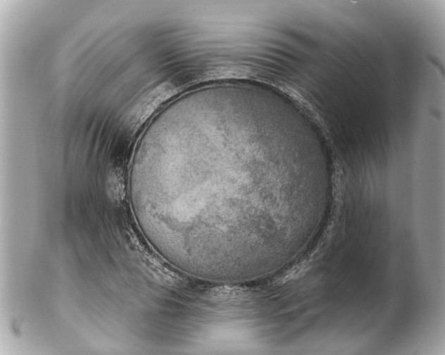 X0000102500929200808151517