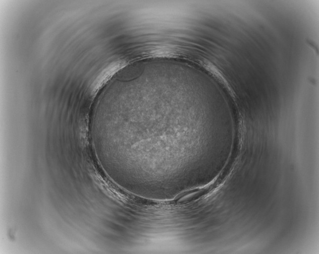 X0000102500930200808151517