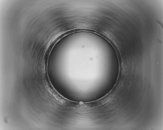 X0000102500931200808151517