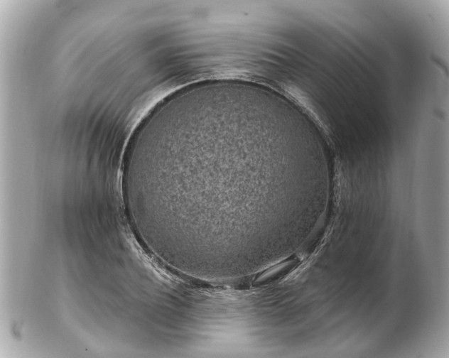 X0000102500932200808151517