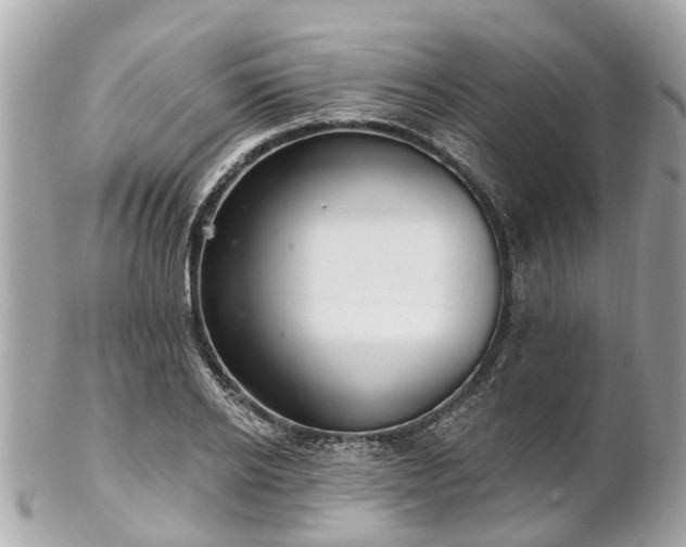 X0000102500934200808151517