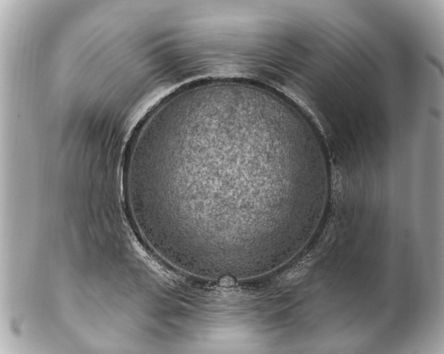 X0000102500935200808151517