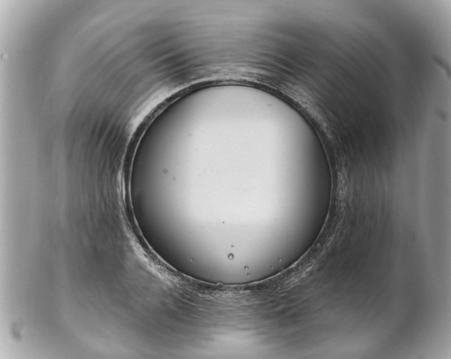 X0000102500936200808151517