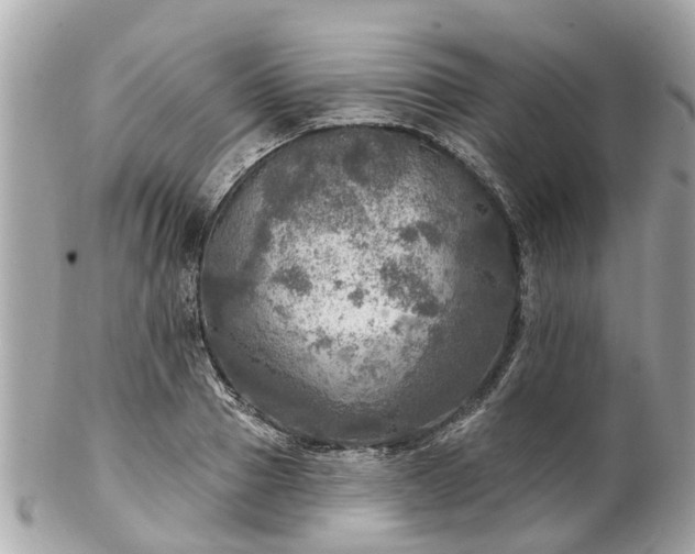 X0000102500937200808151517