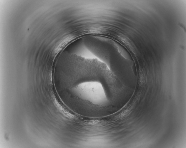 X0000102500938200808151517