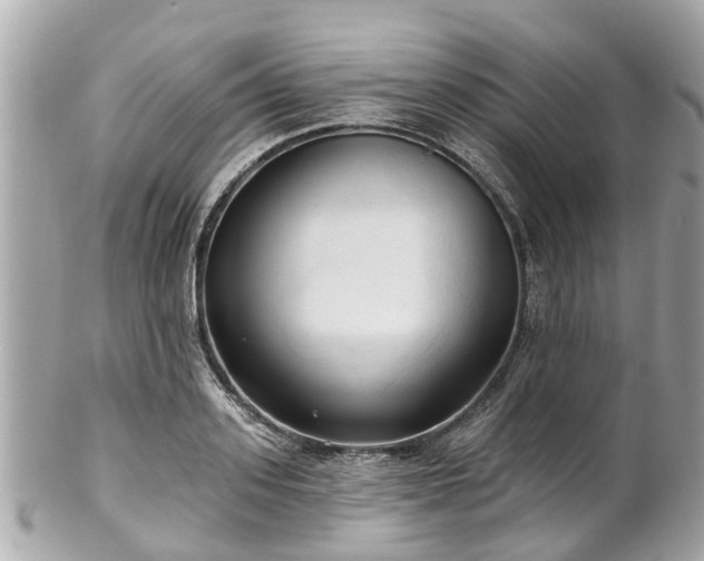 X0000102500939200808151517