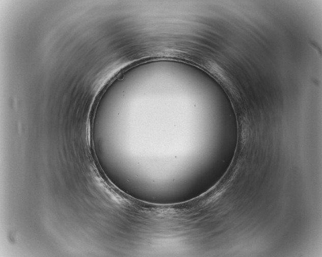 X0000102500940200808151517