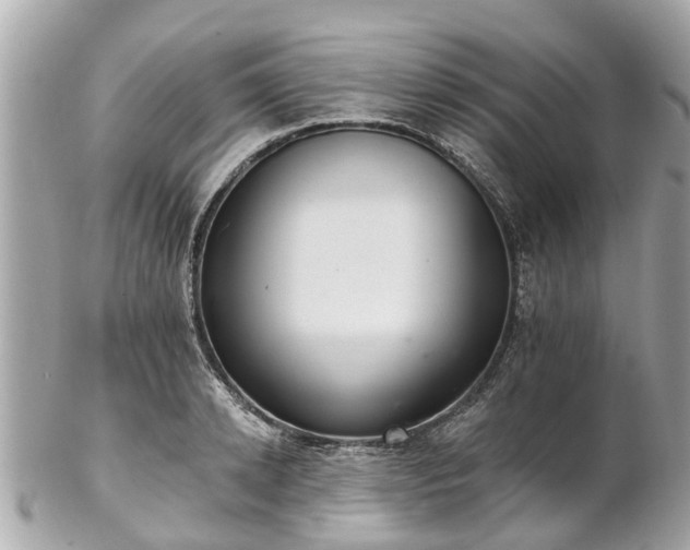 X0000102500942200808151517