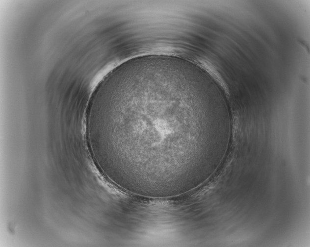 X0000102500944200808151517