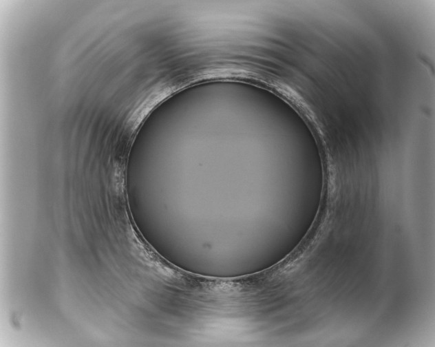 X0000102500945200808151517