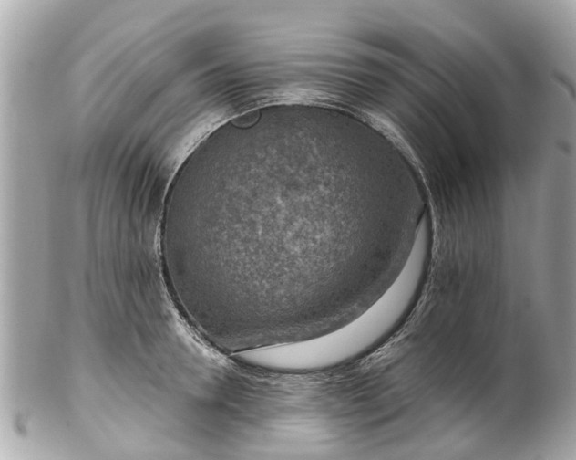 X0000102500946200808151517