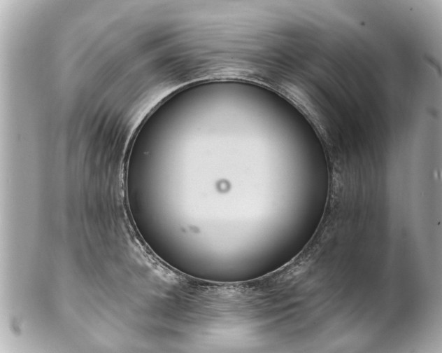 X0000102500948200808151517