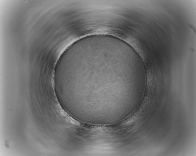 X0000102500950200808151517