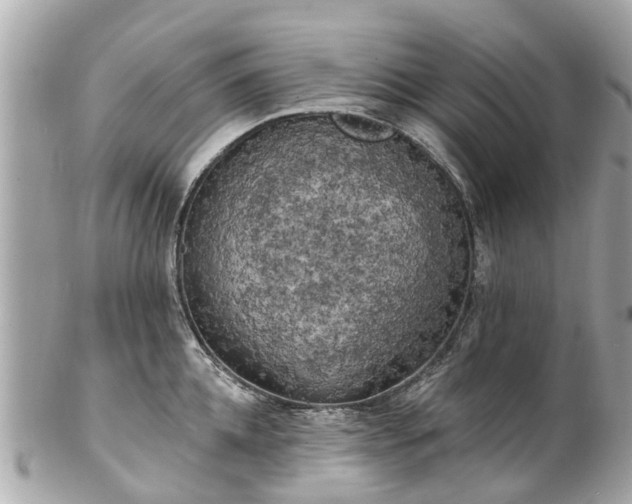 X0000102500952200808151517