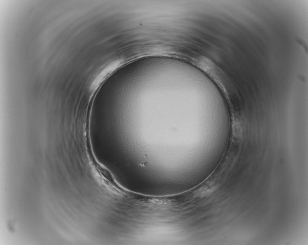 X0000102500954200808151517