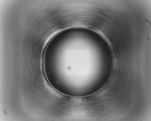 X0000102500955200808151517