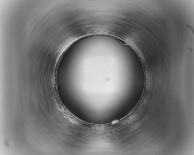 X0000102500956200808151517