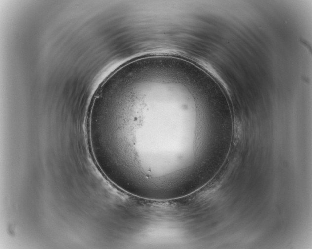 X0000102500959200808151517