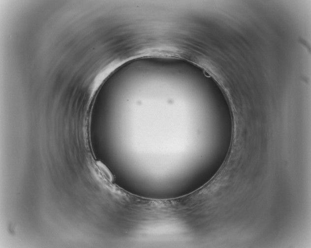 X0000102500960200808151517