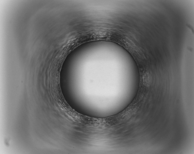 X0000102500961200808151517