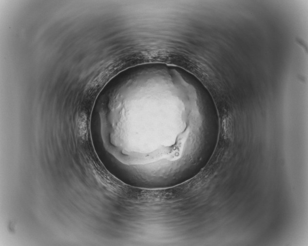 X0000102500963200808151516