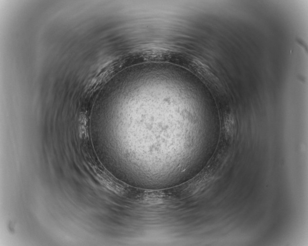 X0000102500964200808151516