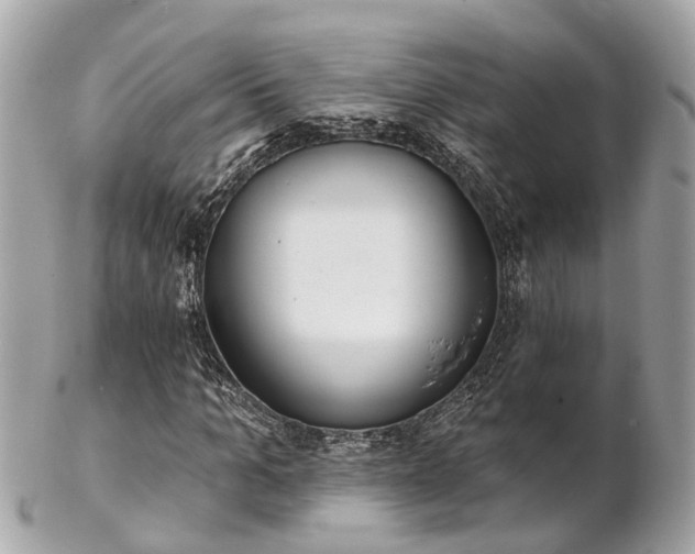 X0000102500965200808151516