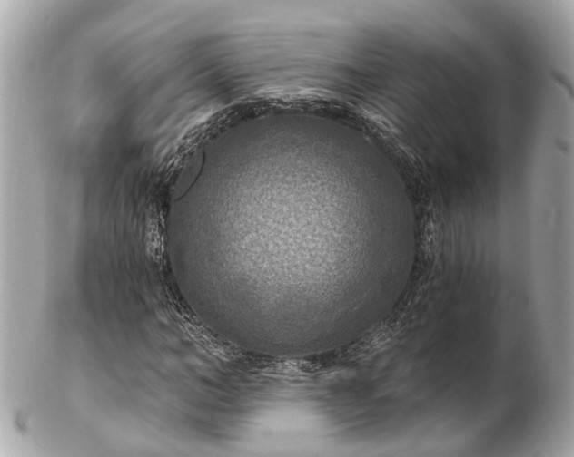 X0000102500966200808151516