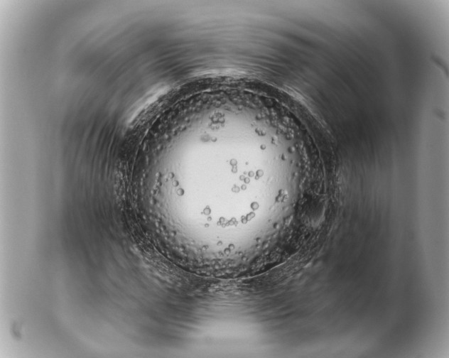 X0000102500967200808151516