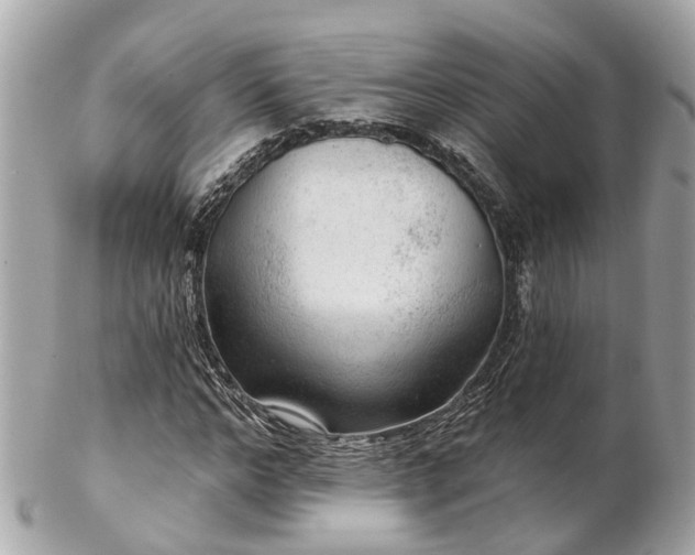 X0000102500968200808151516