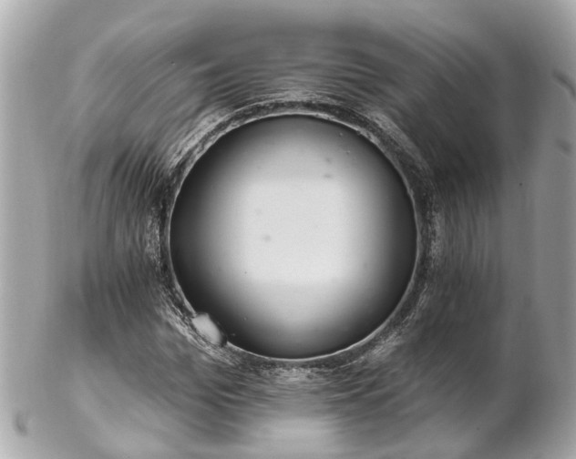 X0000102500969200808151516