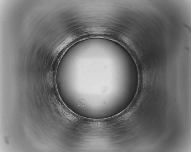 X0000102500970200808151516