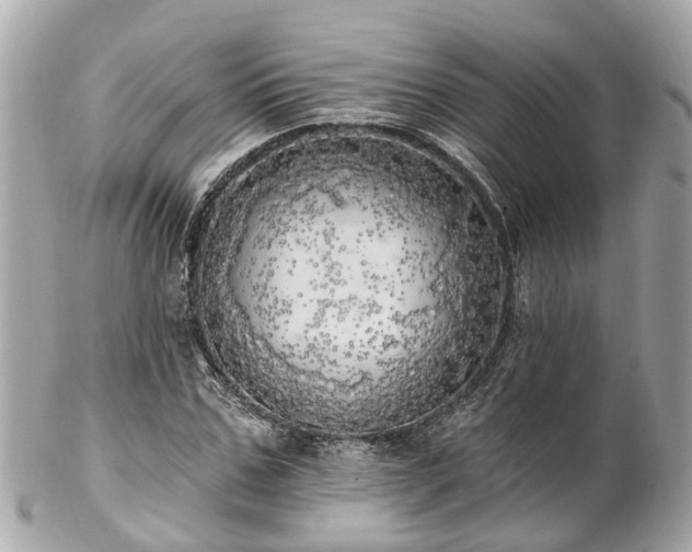 X0000102500971200808151516