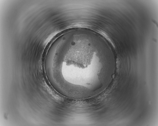 X0000102500972200808151516