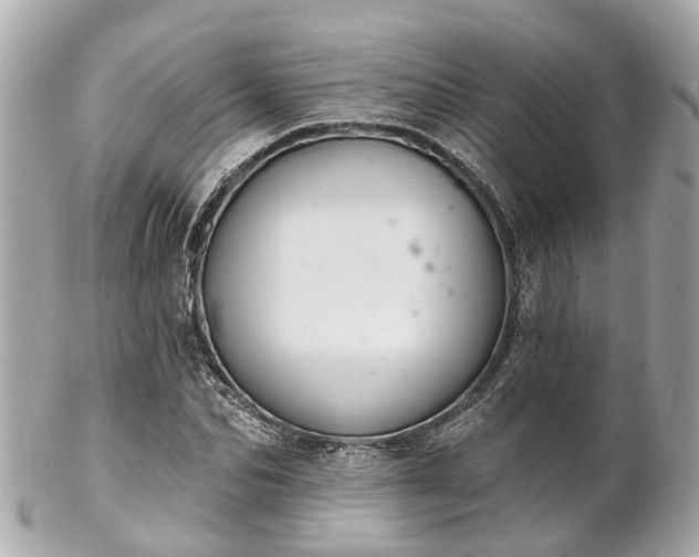 X0000102500974200808151516