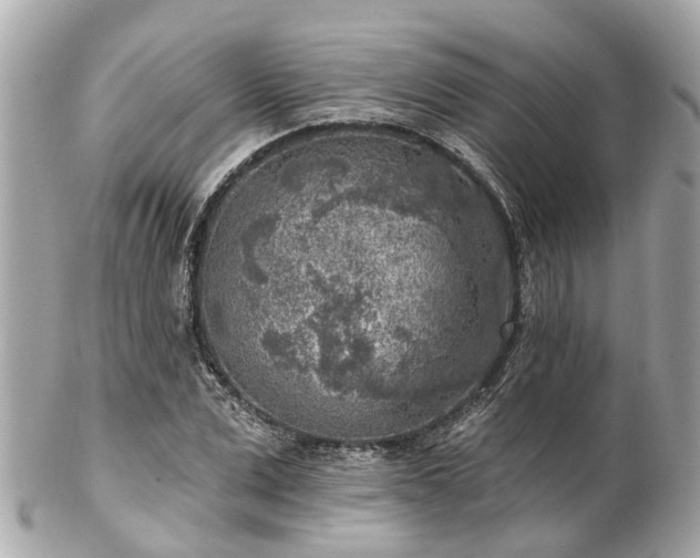 X0000102500975200808151516