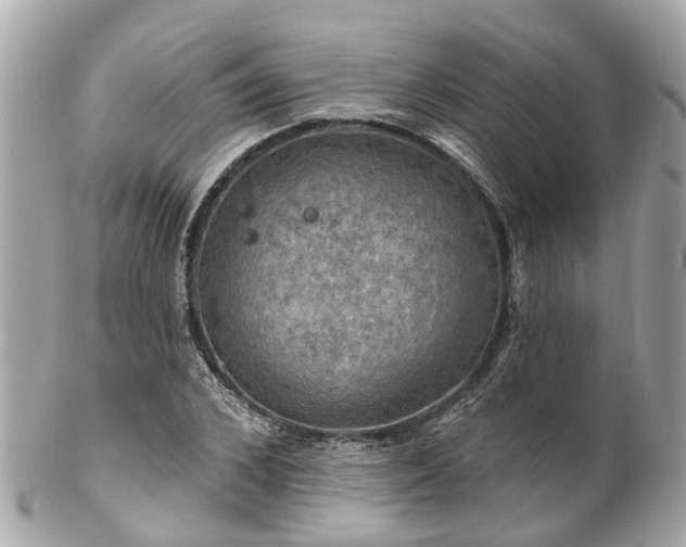 X0000102500976200808151516