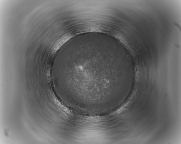 X0000102500977200808151516