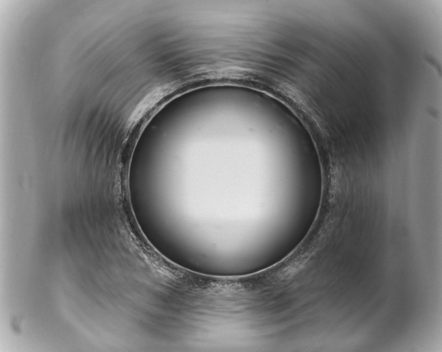 X0000102500978200808151516