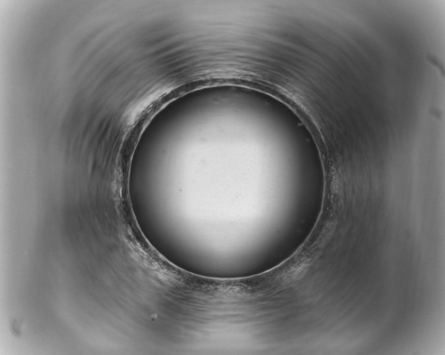 X0000102500979200808151516