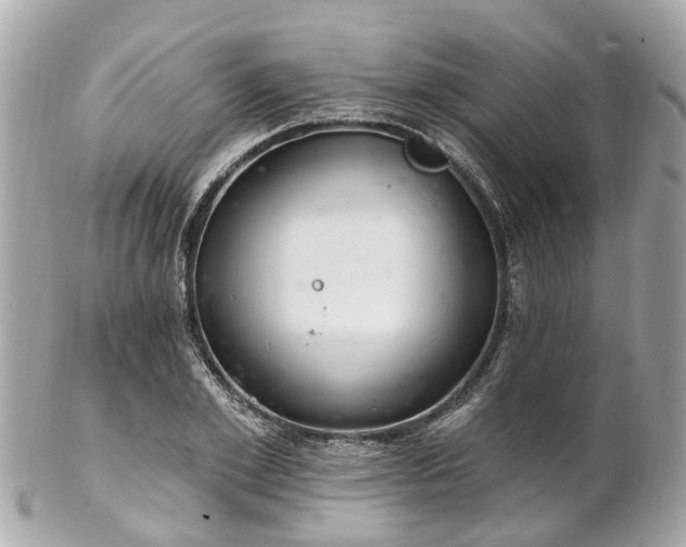 X0000102500981200808151516