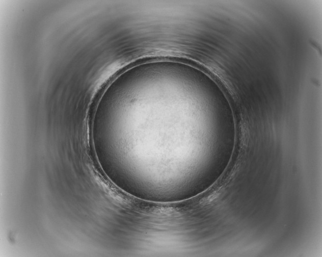 X0000102500982200808151516