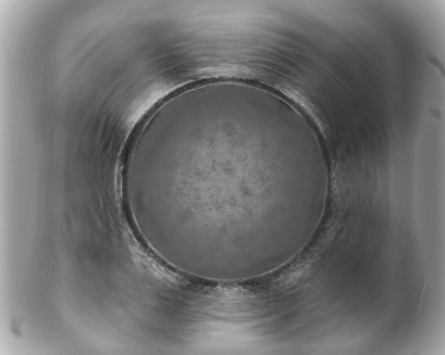 X0000102500983200808151516