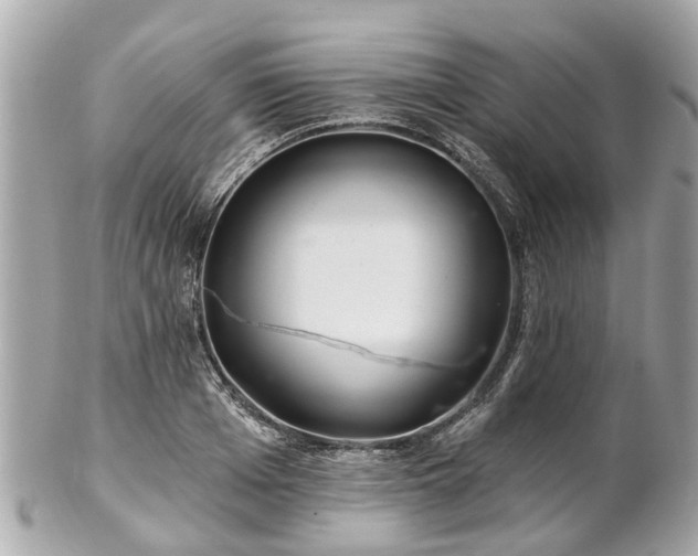 X0000102500985200808151516